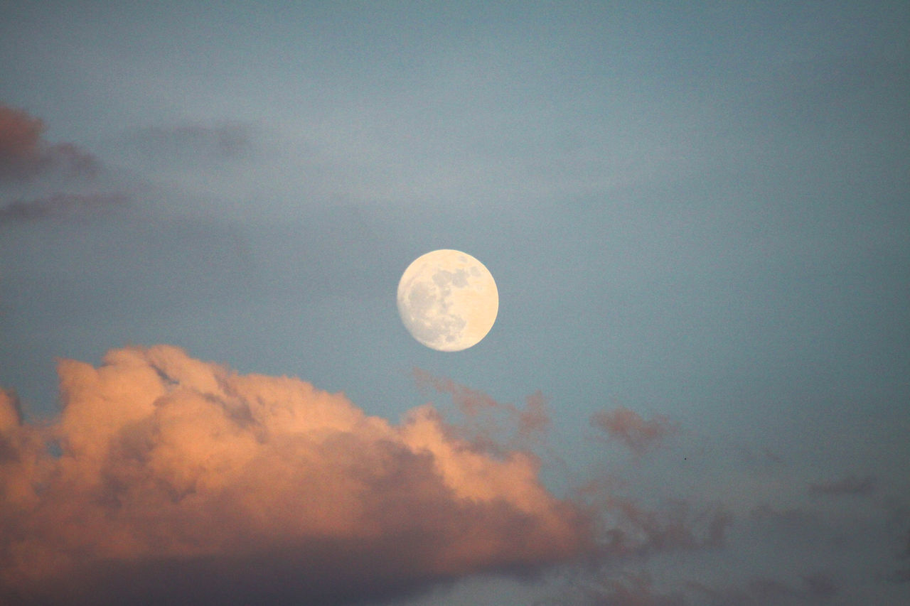 LOW ANGLE VIEW OF MOON IN SKY AT NIGHT