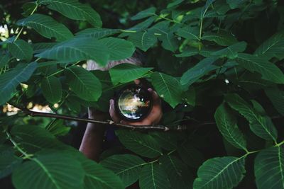 Close-up of man holding camera amidst plants