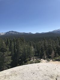 Scenic view of landscape against clear sky