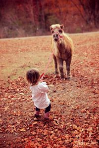 Girl playing with dog