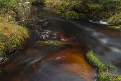 Scenic view of stream flowing through forest