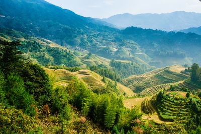 Scenic view of agricultural landscape