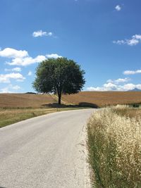 Empty road by tree growing on field against sky