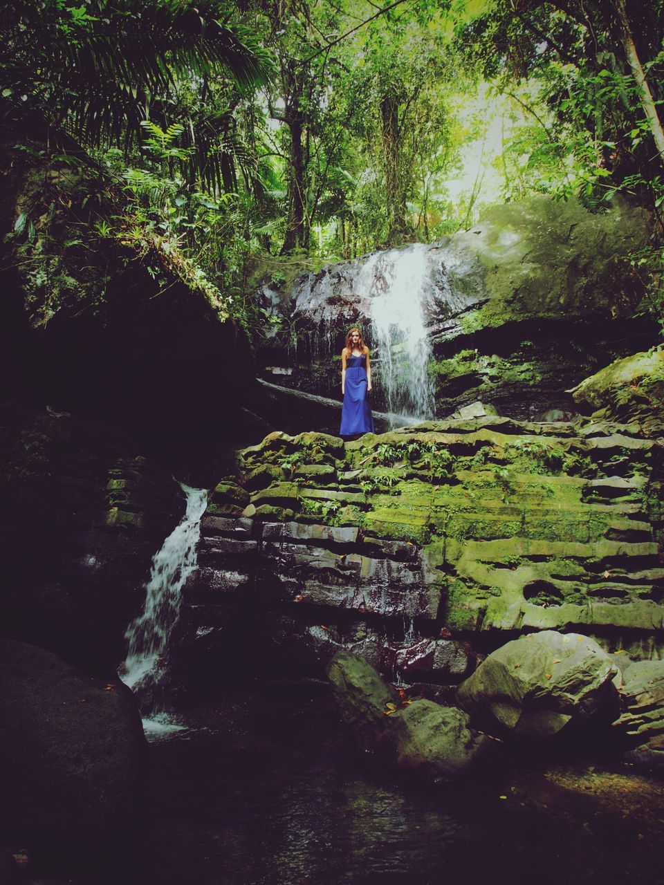 lifestyles, leisure activity, full length, rear view, tree, standing, men, casual clothing, rock - object, water, green color, nature, walking, plant, forest, person, outdoors, growth