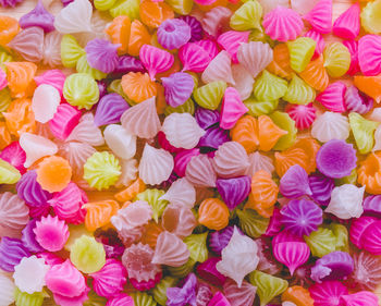 Full frame shot of multi colored flowers