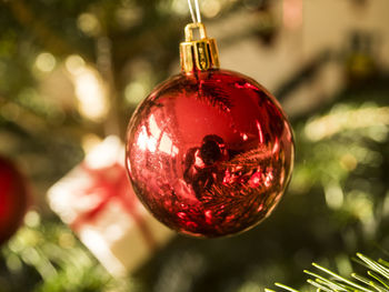 Close-up of christmas decoration hanging on tree