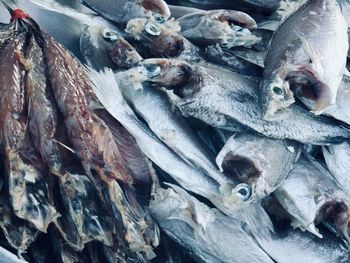 Full frame shot of fish for sale in market