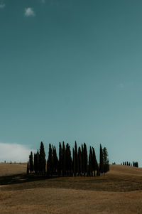 Panoramic view of field against clear sky