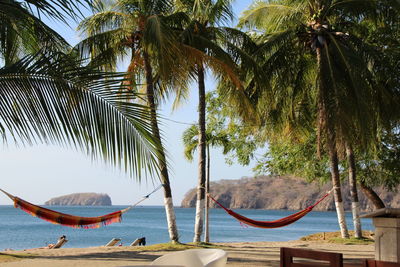 Palm trees by sea against sky