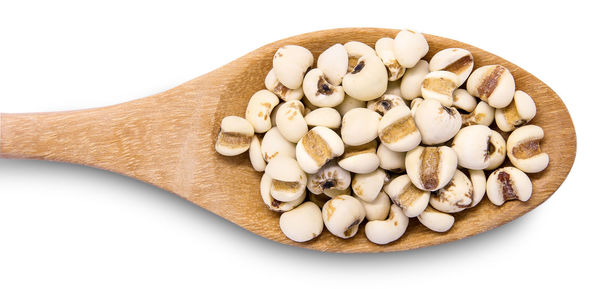 High angle view of bread in plate against white background