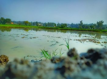 Scenic view of lake against sky