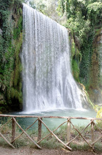 Scenic view of waterfall in forest