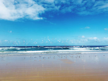 Scenic view of sea against sky