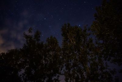 Low angle view of silhouette trees against sky at night