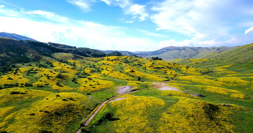 Scenic view of landscape against sky