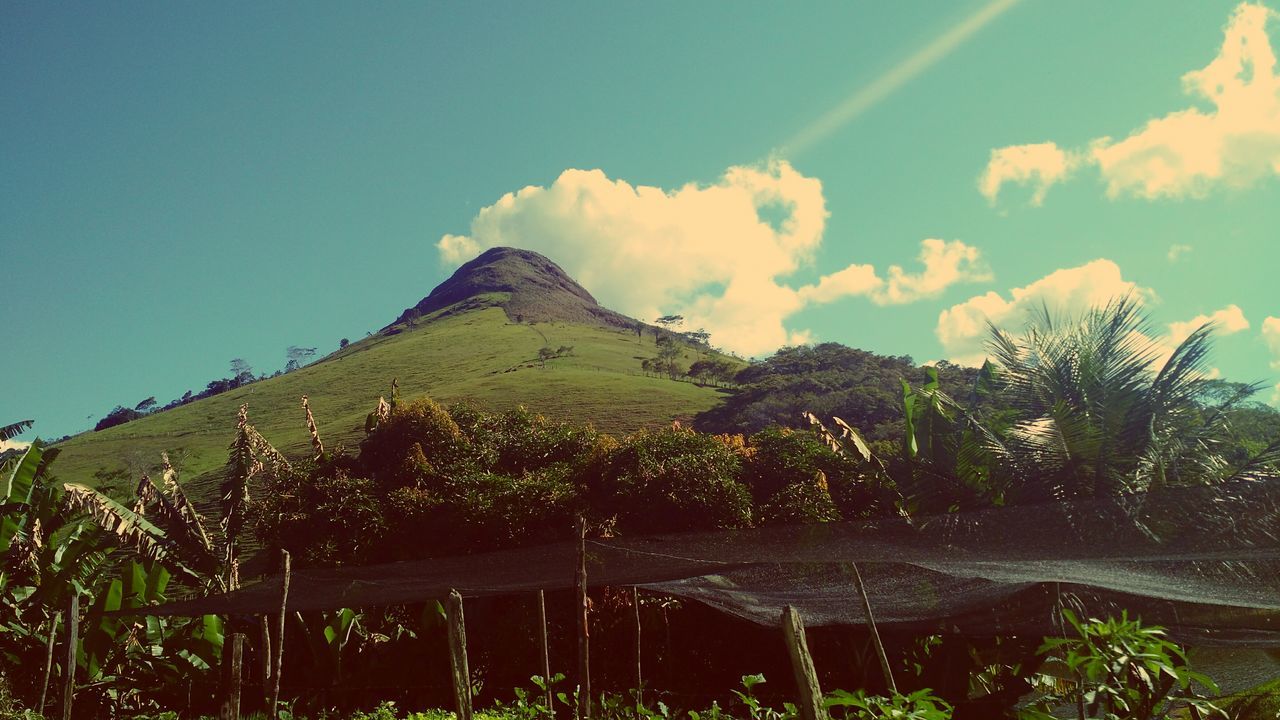 sky, mountain, tranquility, tranquil scene, scenics, beauty in nature, nature, landscape, growth, tree, green color, plant, sunlight, idyllic, non-urban scene, field, blue, outdoors, remote, day