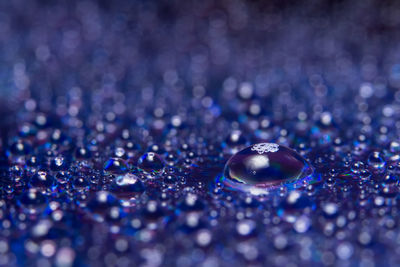 Close-up of water drops on blue surface