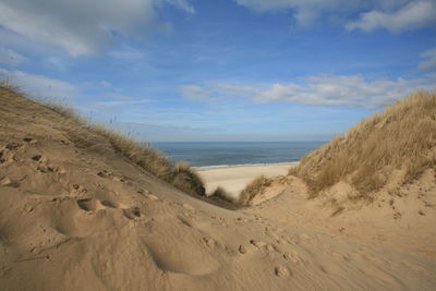 Scenic view of beach against sky