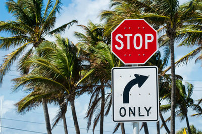 Close-up of road sign by palm trees against sky