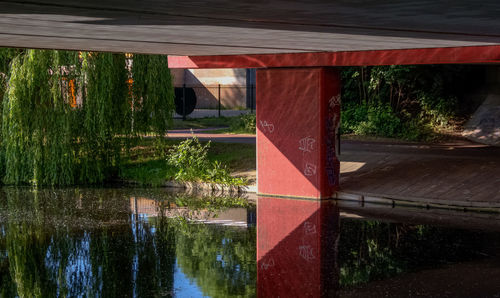 Reflection of trees on water