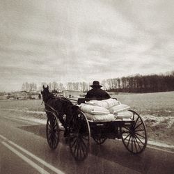 transportation