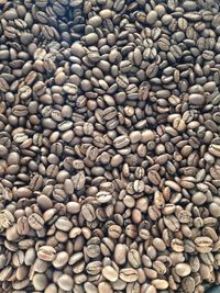 Close-up of roasted coffee beans