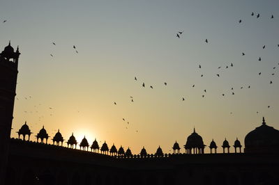 Silhouette birds flying against sky during sunset