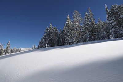 Snow covered field by trees against sky