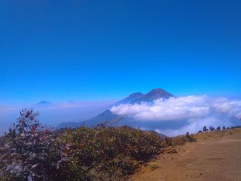 Scenic view of landscape against blue sky