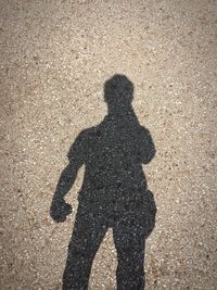 Shadow of man on beach