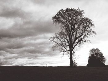 Low angle view of trees against cloudy sky