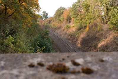 Surface level of railroad track amidst trees against sky