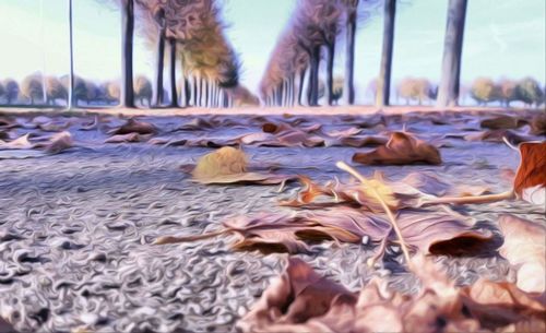 Surface level of sand against sky