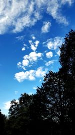 Low angle view of trees against sky