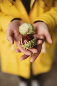 Close-up of hand holding fruit