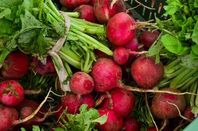 High angel view of red radishes for sale at market