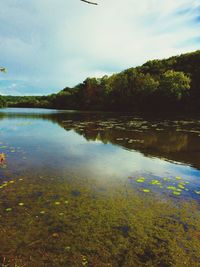 Scenic view of lake and trees against sky