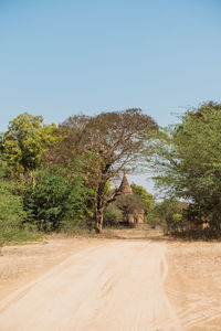 Road amidst trees against clear sky