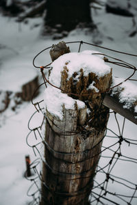 Close-up of frozen tree during winter