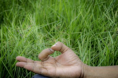 Close-up of hand meditating by grass