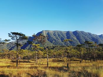 Scenic view of landscape against clear blue sky