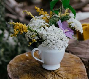 Close-up of potted plant on table