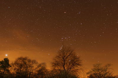 Low angle view of bare tree against star field