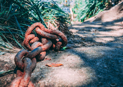 Close-up of rusty chain on rock