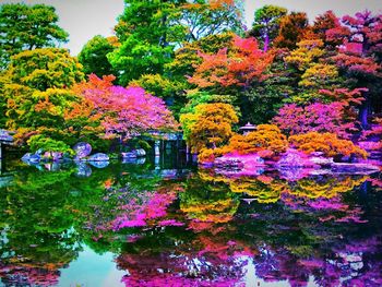 View of flowering plants by lake