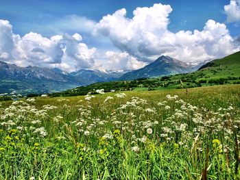 Scenic view of grassy field against cloudy sky