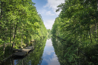 Reflection of trees in lake against sky