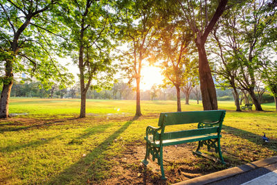 Park bench on field