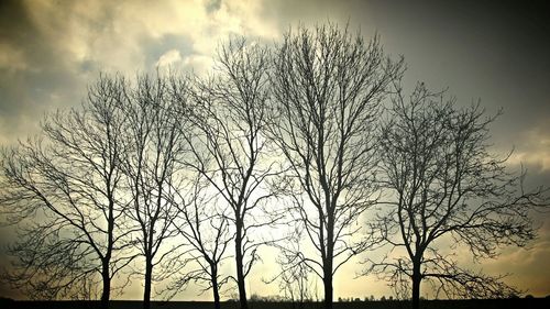 Low angle view of bare trees against cloudy sky