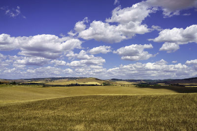 Scenic view of agricultural field against sky